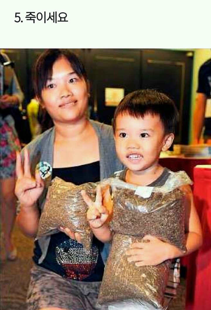 모기로부터 살아남는 5가지 방법 | 인스티즈