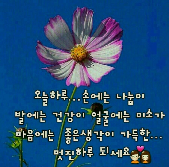 하기 이미지