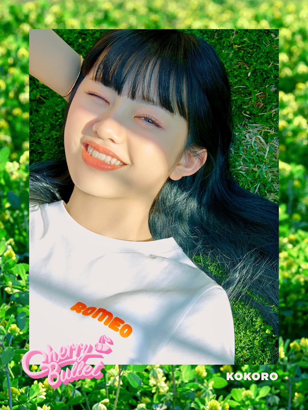 코코로 이미지