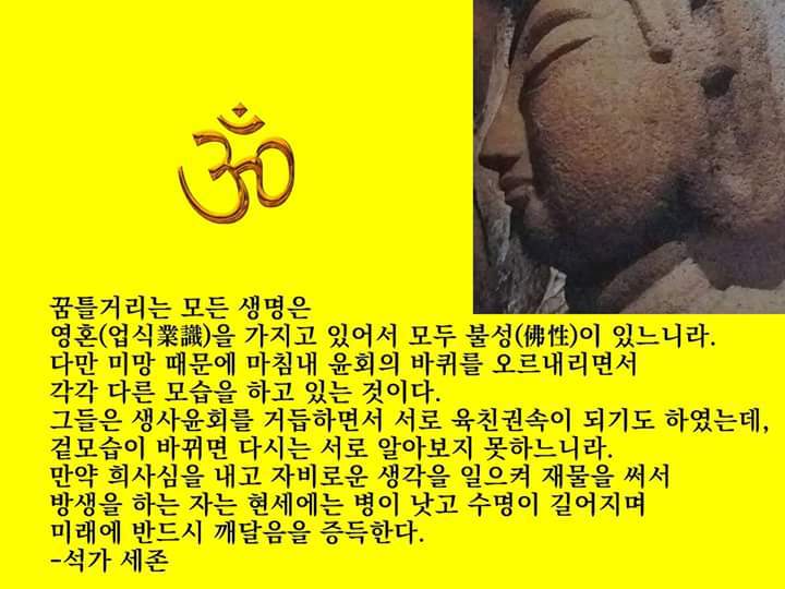 수희 이미지