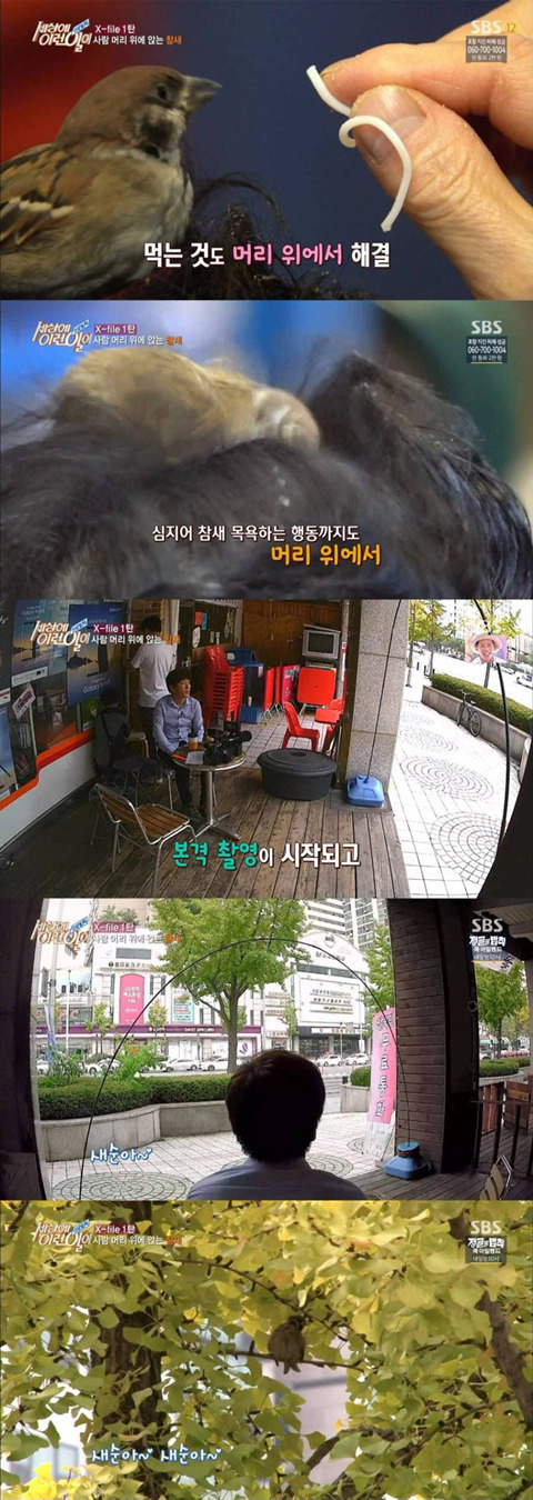 세상에 이런일이 방송사고 | 인스티즈