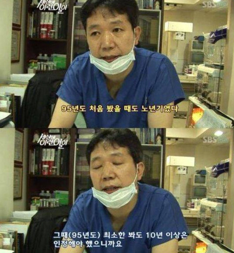 사진상으론 짐작도 할 수 없을 정도로 나이가 많은 강아지들 | 인스티즈