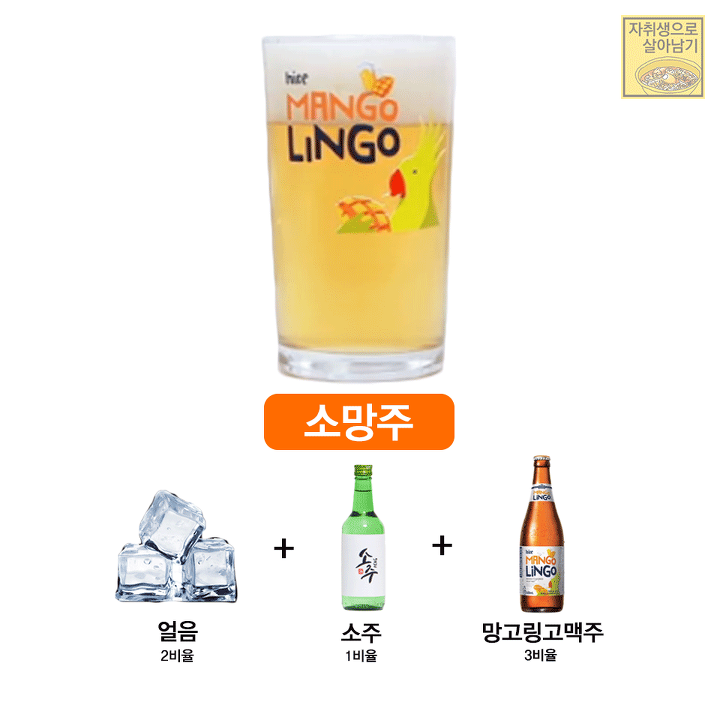 2019년도 달리자! 신박하고 맛있는 술 제조법 모음!! | 인스티즈