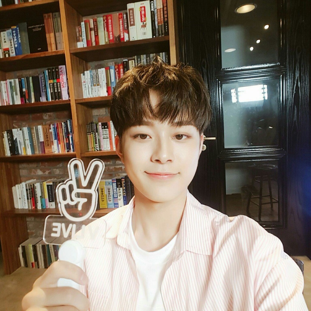 병아리날다 이미지