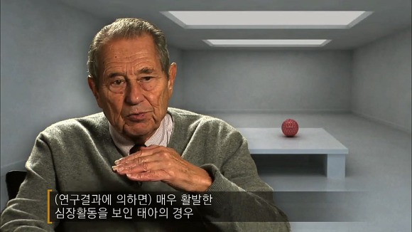 사람의 성격에 가장 많은 영향을 미치는 것 | 인스티즈