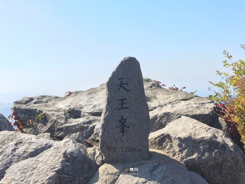 속리산동행 이미지