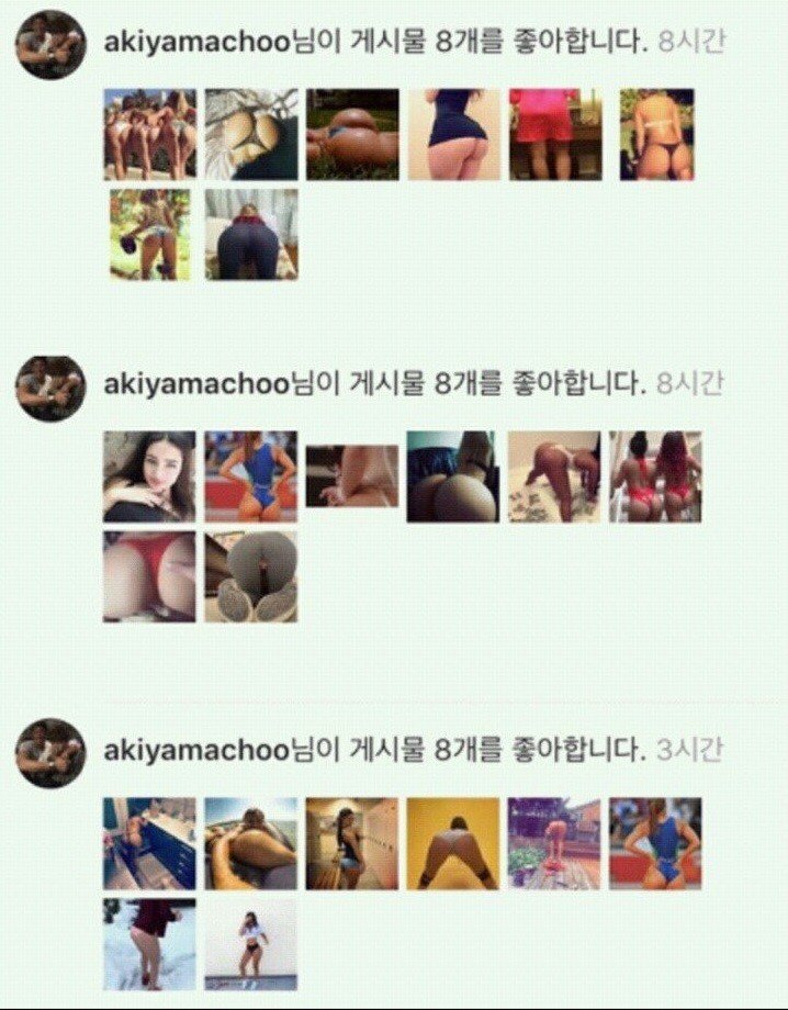추성훈의 확실한 취향.jpg | 인스티즈