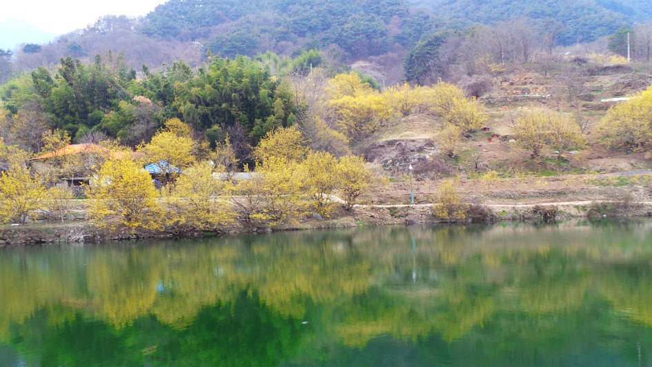 푸른주공마트 이미지