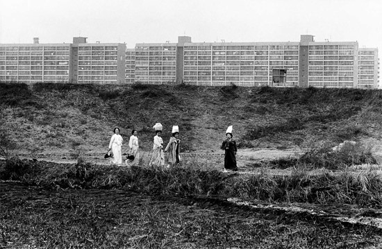 1970~80년대 서울 강남 사진.jpg | 인스티즈