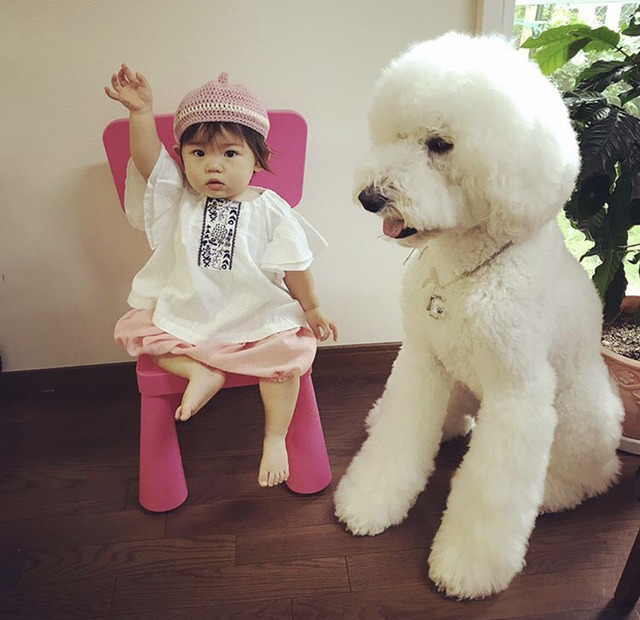 스탠다드 푸들과 1살 아기의 아주 사랑스러운 일상.jpg | 인스티즈