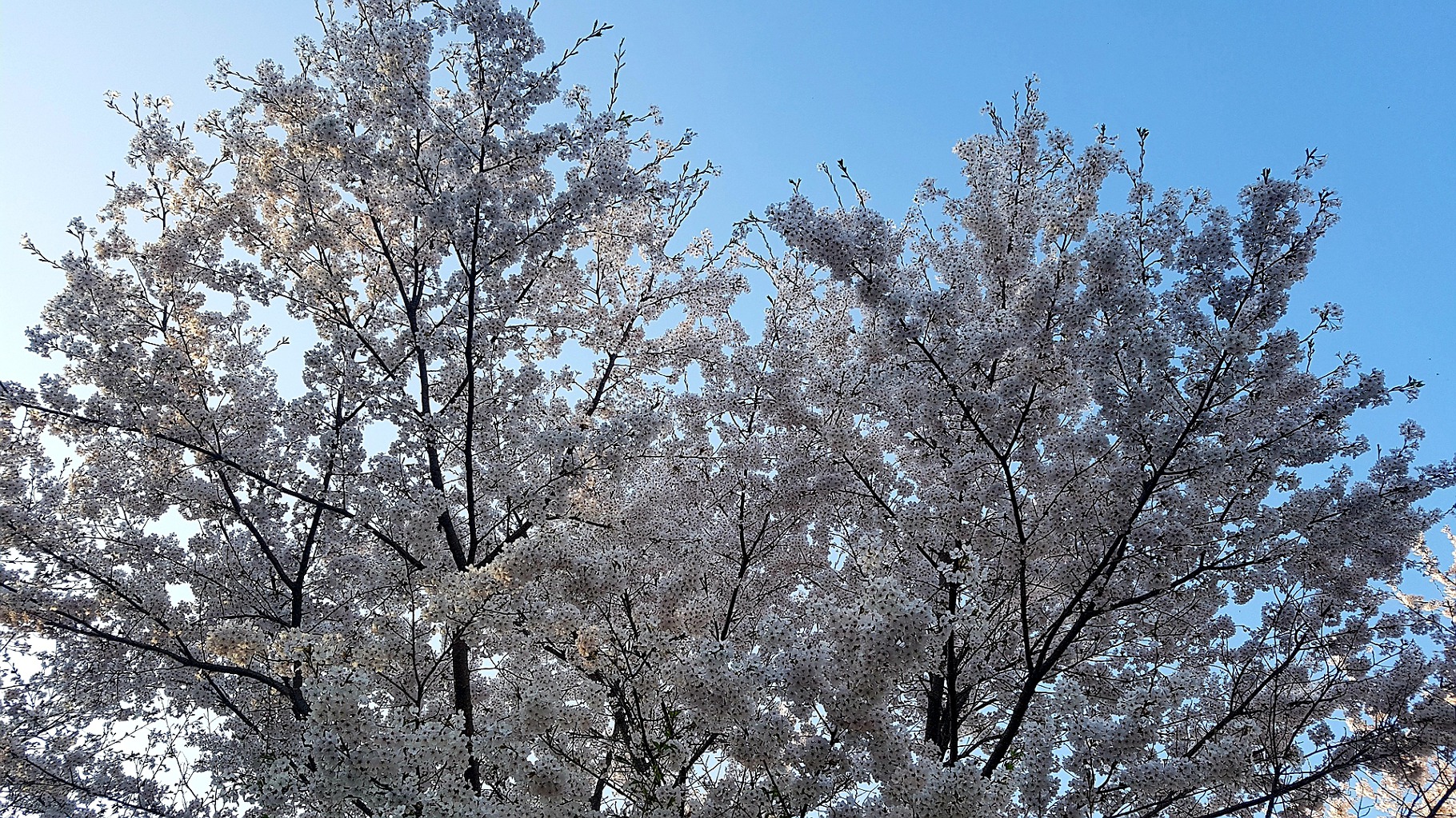 고모리저수지 이미지