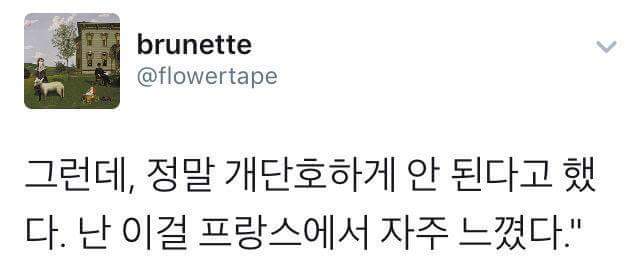 한국 여자들의 불필요한 친절에 대해서 (게이샤 친절) | 인스티즈