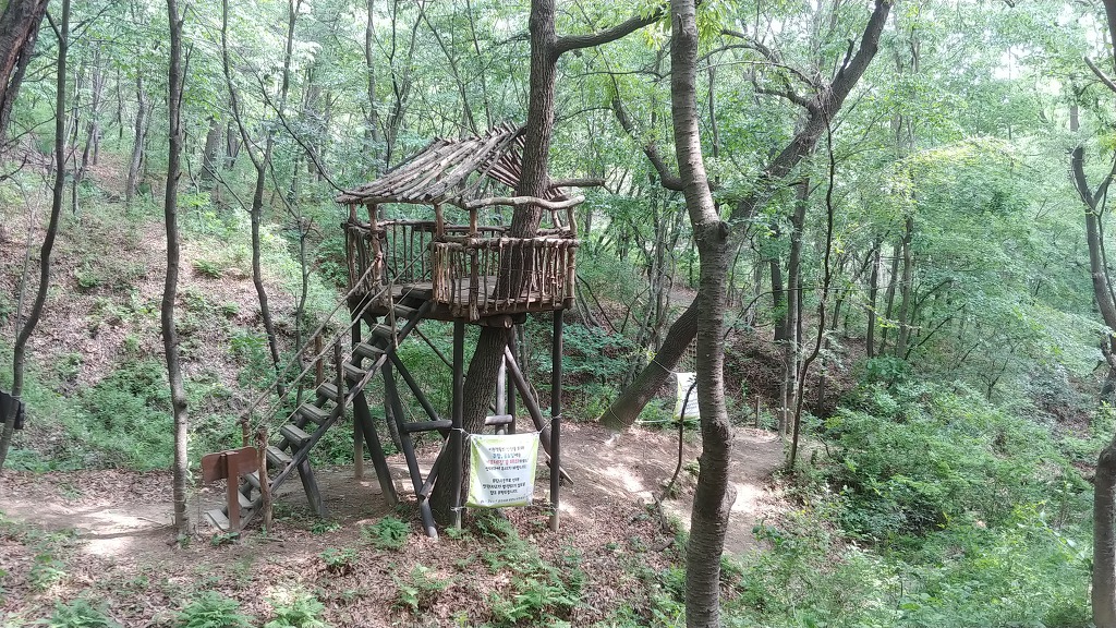 인후공원 유아숲체험원 이미지