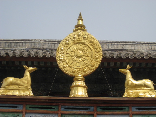 바야스 이미지