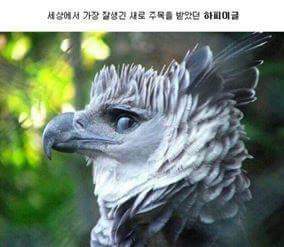 각도의 중요성.jpg | 인스티즈