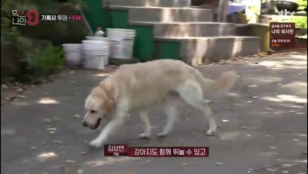 [믹스나인] 강화도에 위치하고 있는 연예인 기획사 | 인스티즈