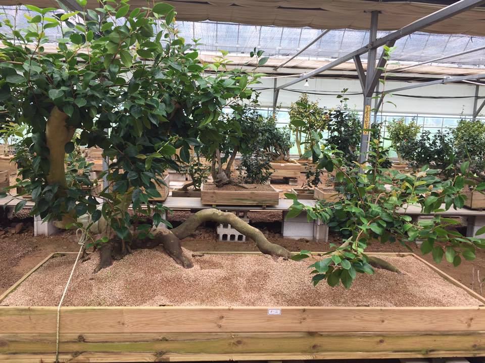 GreenFarm 이미지