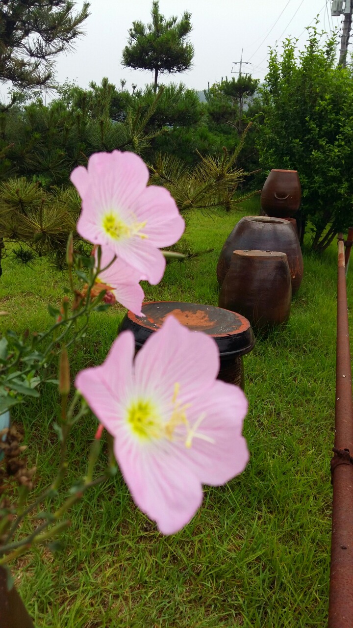 오다;가다 이미지