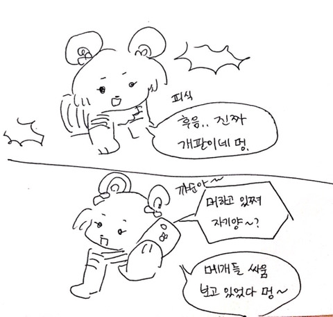 나의 아름다운 애완인간2 | 인스티즈