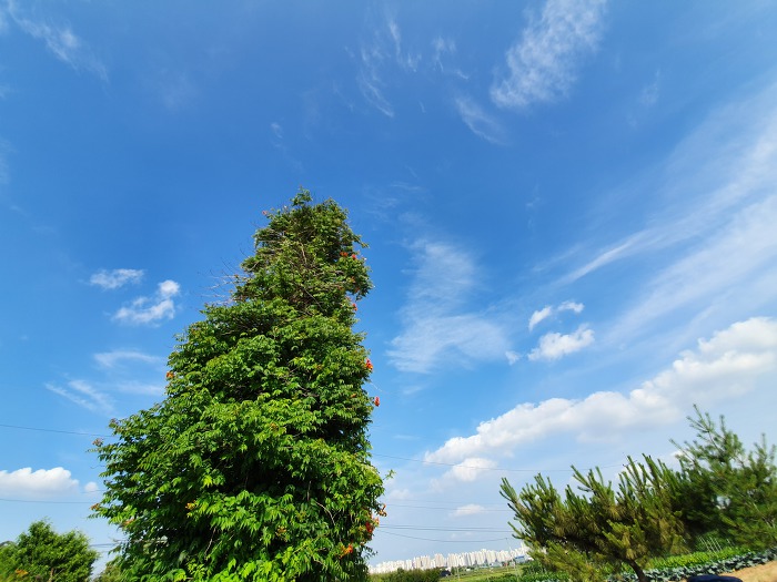 99BF59335D0C9E3333E4E8