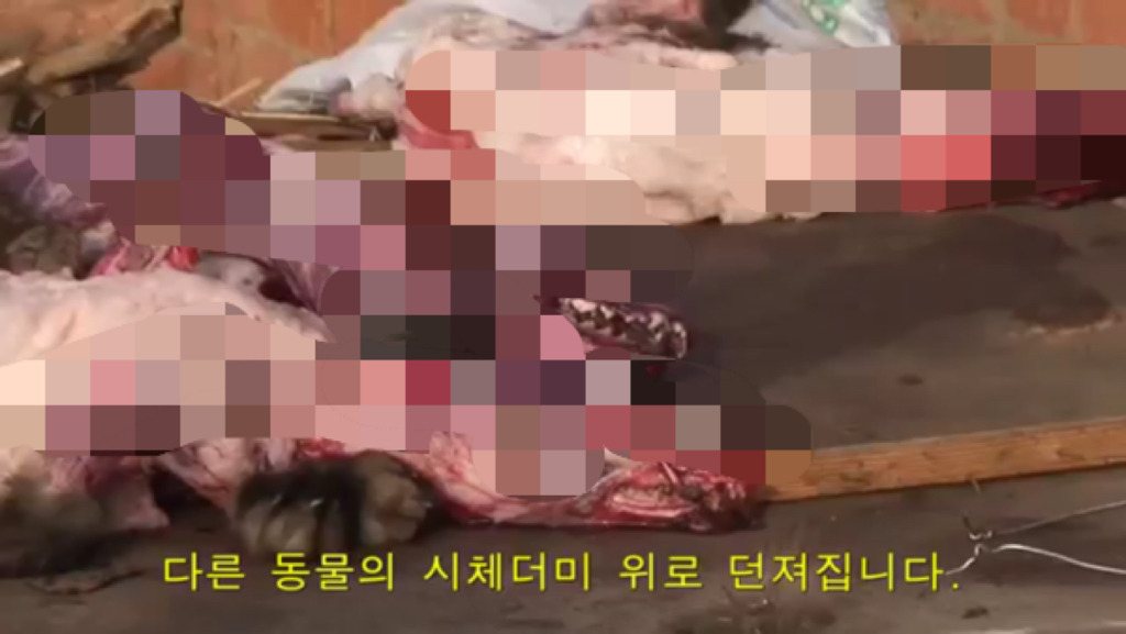 모르고 쓰는거면 몰라도 알면서 쓰는 사람들은 솔직히 인간으로 존중 못하겠는 부분.jpg (혐오주의) | 인스티즈