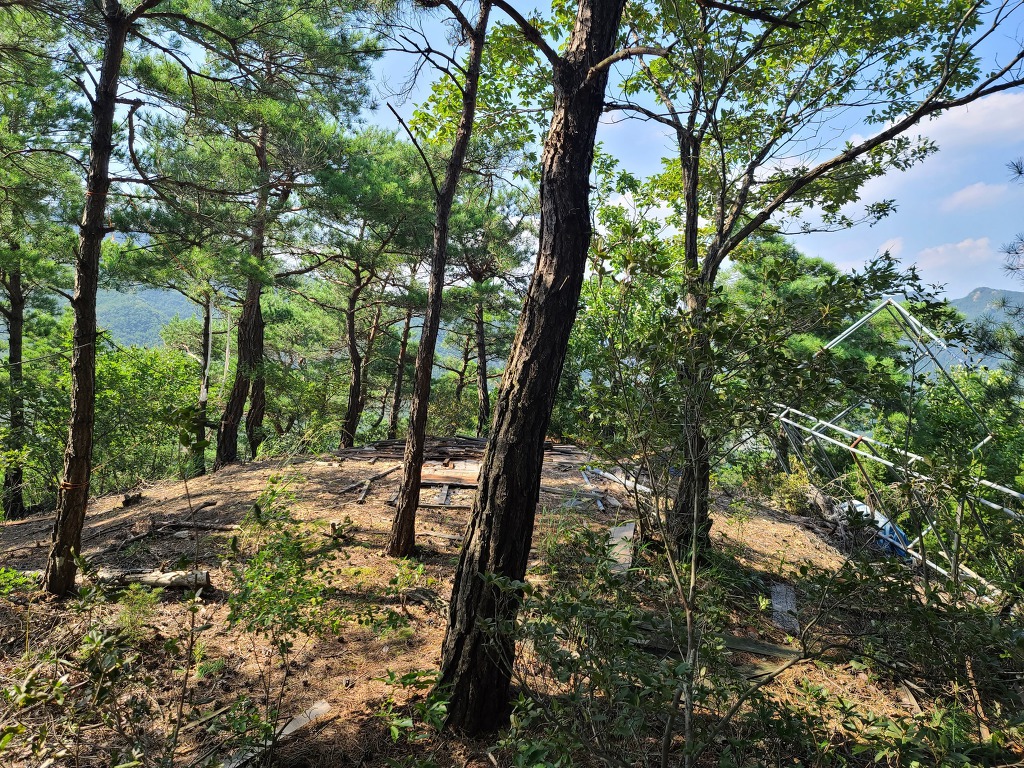 까치산 이미지