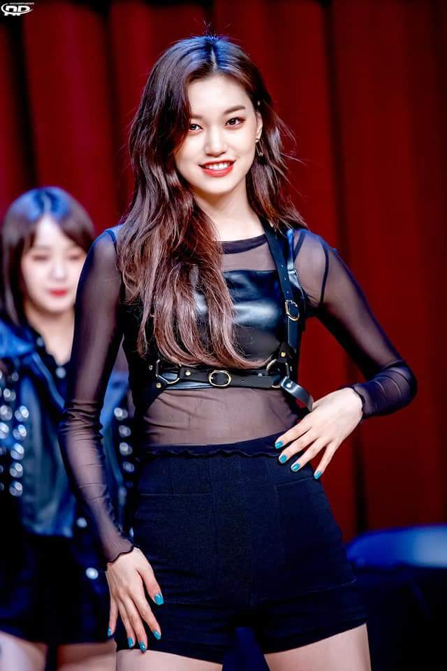 위미 이미지