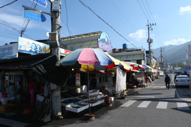삼오관광 이미지
