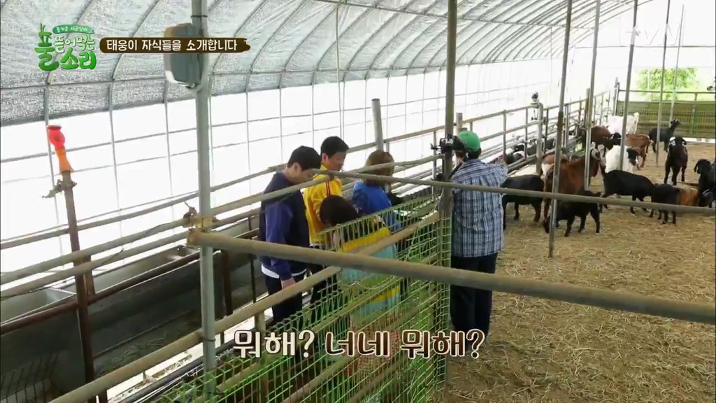 [풀뜯어먹는소리] 닭에서 시작해 소까지 살 수 있게 된 중딩농부 태웅.jpg | 인스티즈
