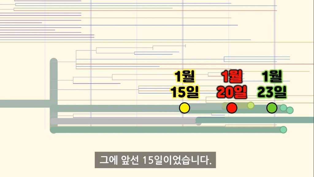 한국의 코로나19 감염원 노출은 언제부터였을까? (입국금지 골든타임 미리 알 수 있었을까?) - 과학적 분석 | 인스티즈