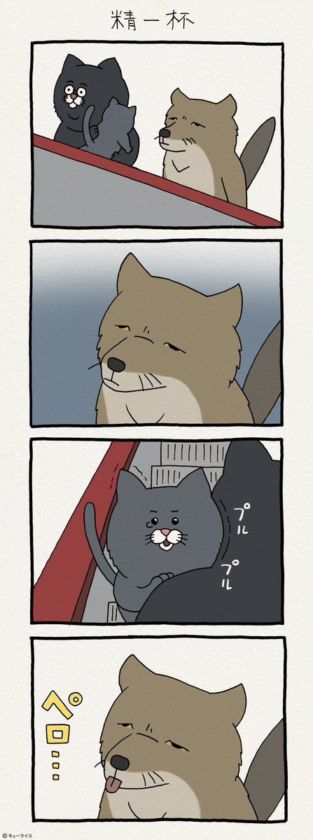 친절한 티벳여우 | 인스티즈