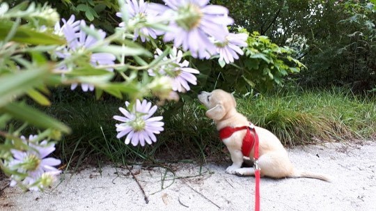 꽃내음 맡는 짱절미.jpg | 인스티즈