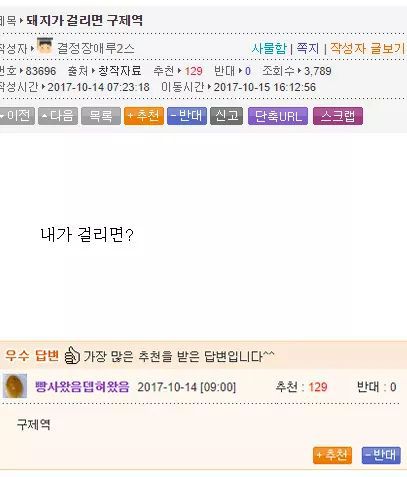 대학교 물먹은 학생들.jpg | 인스티즈