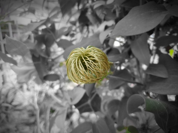 99D178335CCA56AD3220D6