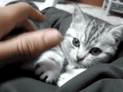 노는데 졸림 .gif | 인스티즈