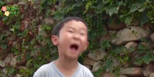 우리 애가 공부를 안 해서 그렇지 사실은 엄청 똑똑함 정말로; 의 모범 사례 들고 옴 | 인스티즈