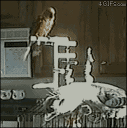웃는 얼굴에 똥뱉는다.gif | 인스티즈