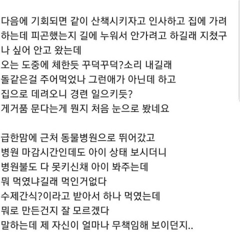 강아지 산책 중에 간식 얻어먹고 죽었어요 | 인스티즈