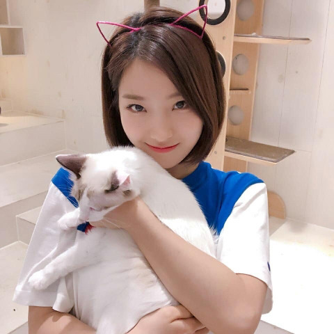 냥이까페간 프로미스 나인 | 인스티즈
