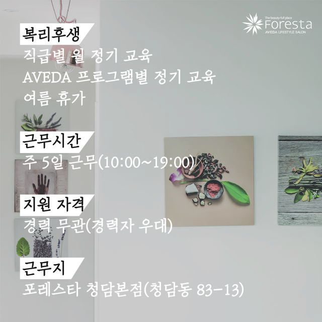 포레스타 이미지