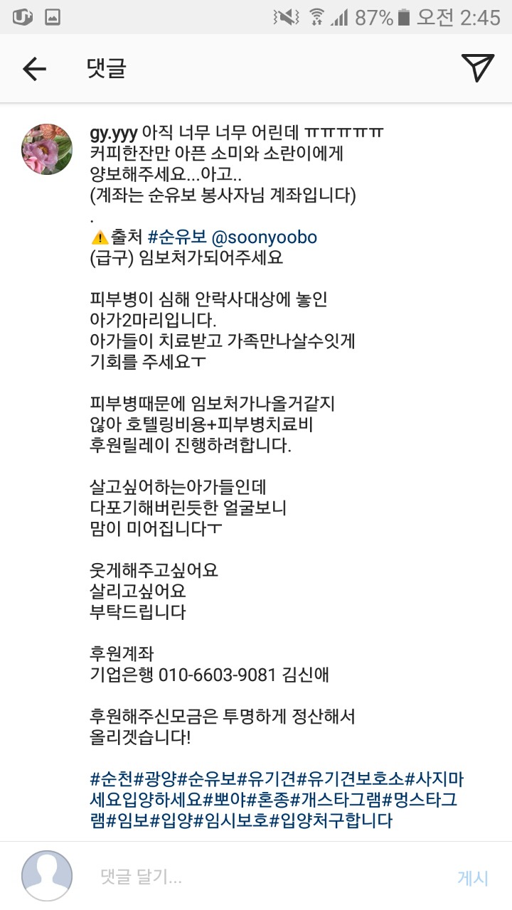 피부가 다 벗겨진 강아지 좀 도와주면 안될까? 소액후원도 정말 괜찮아 | 인스티즈