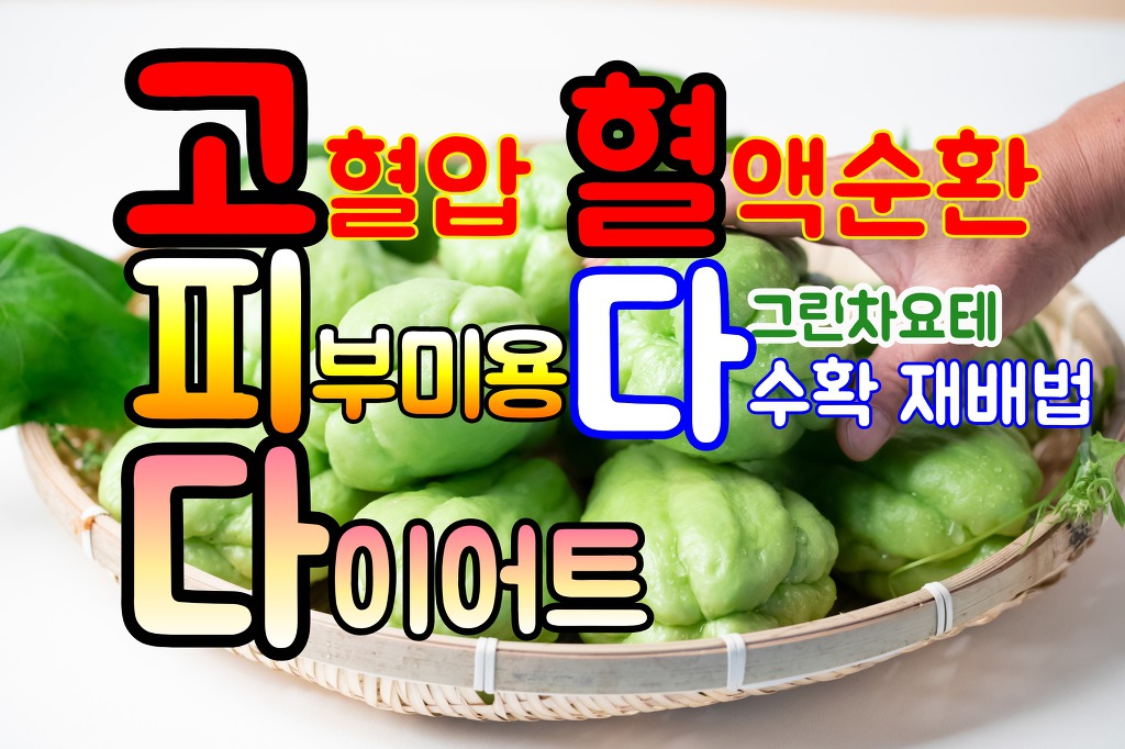 그린생선 이미지