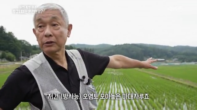 일본산 식품 먹지 않고 일본 여행 가지 않는게 좋은 이유 | 인스티즈