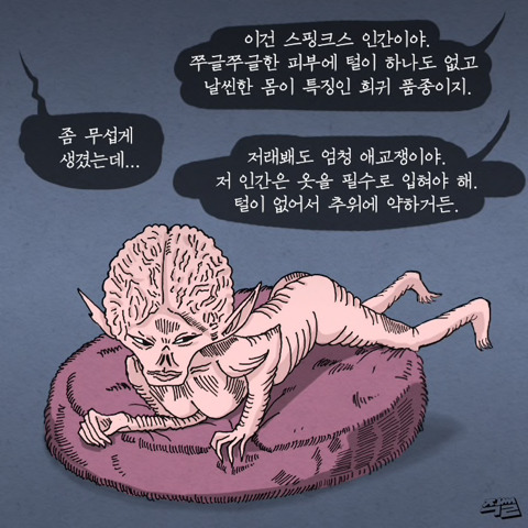 고양이가 애완 인간 키우는 만화 | 인스티즈