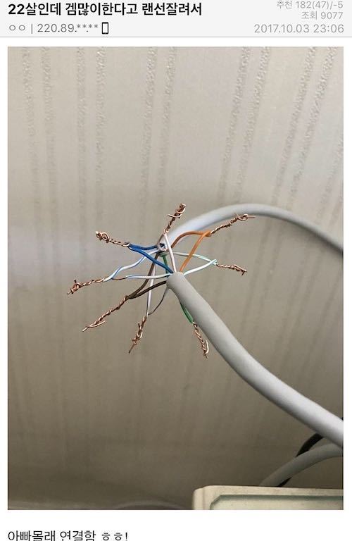 게임 너무 한다고 아버지가 랜선을 자르셨어요ㅠㅠ | 인스티즈