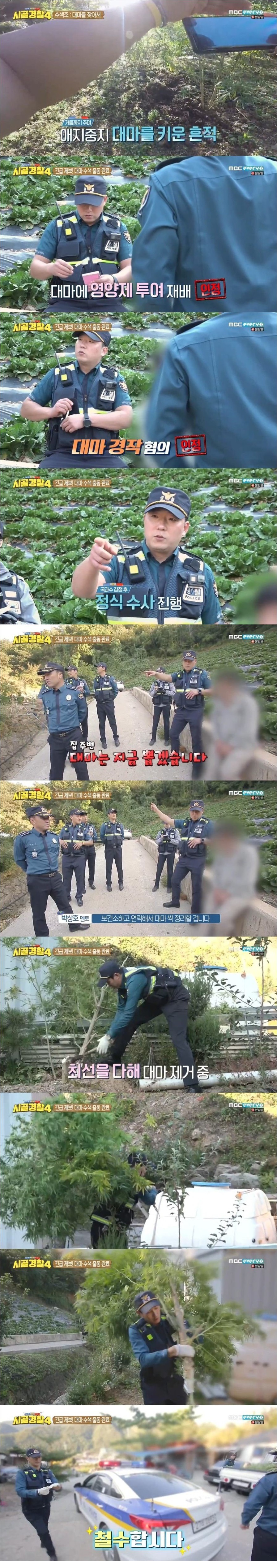 엄청난 규모의 대마 불법재배 현장을 수색하는 시골경찰 | 인스티즈