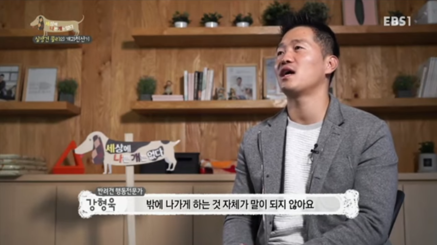 강형욱 개 교육 프로그램 보시는분 공감 | 인스티즈