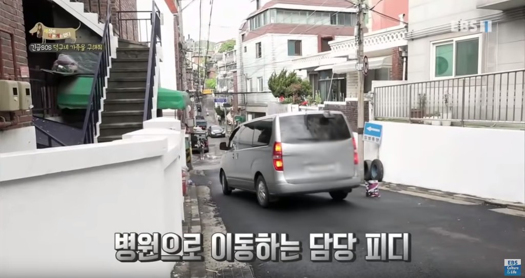 방송중 개에게 심하게 물린 PD (상처사진 주의) | 인스티즈