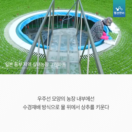 온난화가 그냥 더워지는 것만 문제가 아님. 밥이랑 과일 같은게 없어짐.jpg | 인스티즈
