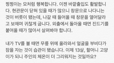 찡찡이가 열세살 할머니라는 것을 알게된 사람들 | 인스티즈